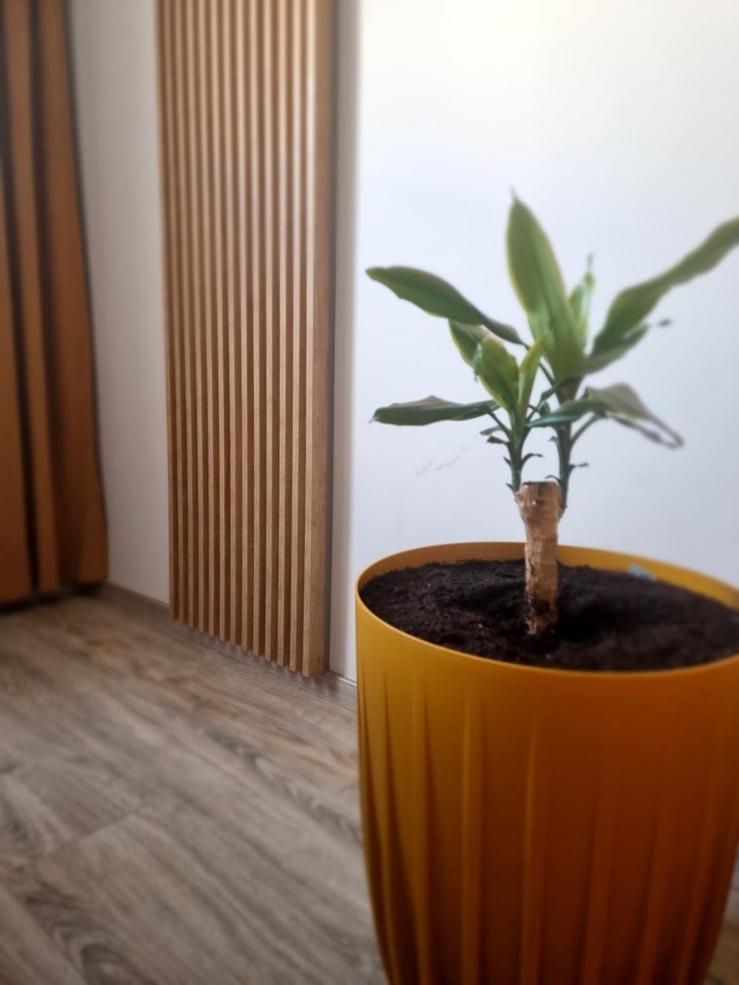 Apartament Lux Lemon Jelenia Gora Exterior photo